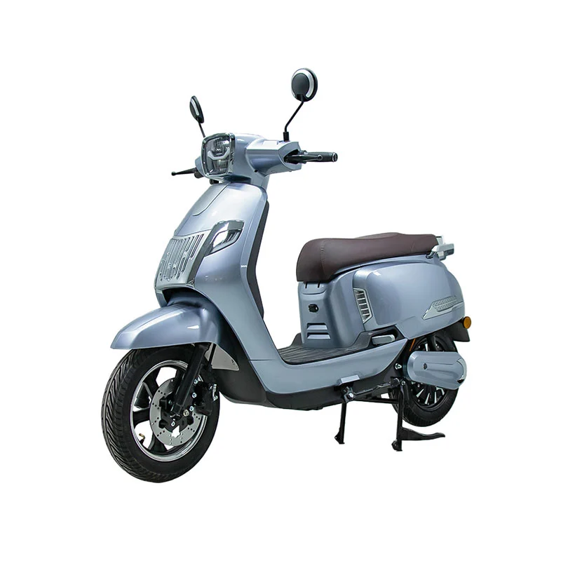 Elektrinis motociklas suaugusiems 10 colių 800 W motociklui