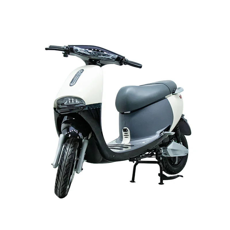 Elektrinis motociklas su 10 colių 1000 W motociklu