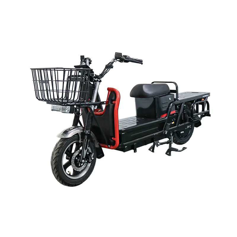 Du ratai elektromobilių motociklas